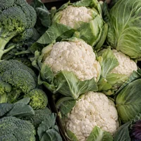 Broccoli, Cabbage & Cauliflower